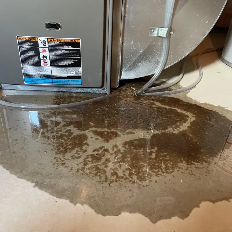 Appliance Leak Cleanup in Bystrom, CA